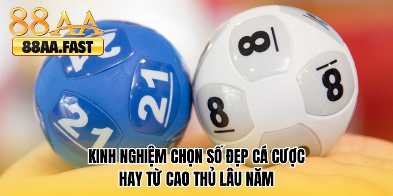 Kinh nghiệm chọn số đẹp cá cược hay từ cao thủ lâu năm