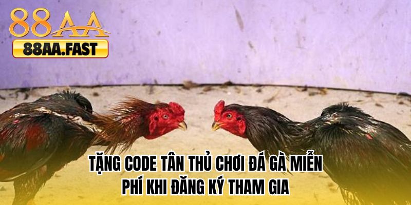 Tặng code tân thủ chơi đá gà miễn phí khi đăng ký tham gia
